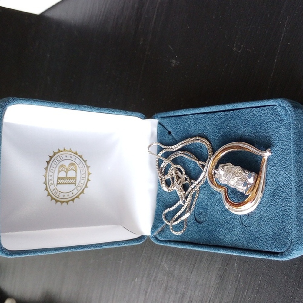 Bradford Exchange Sheltie Keepsake Pendant